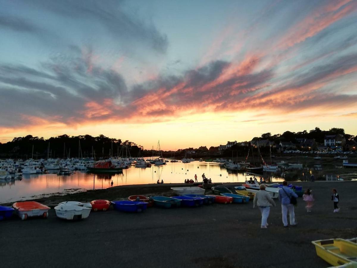 Le Sterne Perros-Guirec